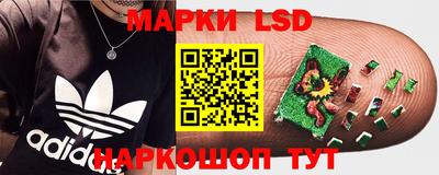 прущий лед Будённовск