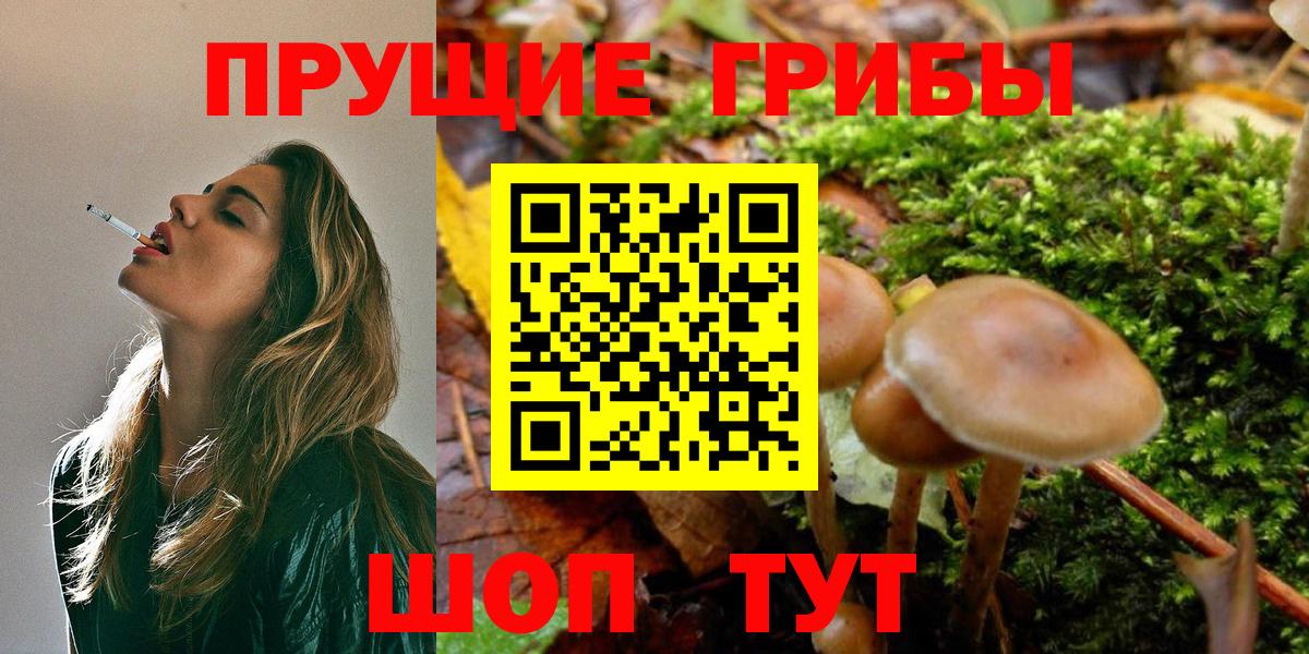 Псилоцибиновые грибы ЛСД Норильск