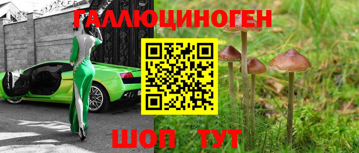 Галлюциногенные грибы Cubensis  Вход с VPN  Норильск 